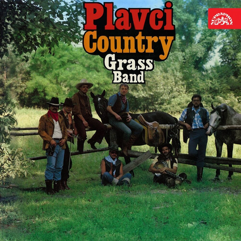 Picture of Country Grass Band