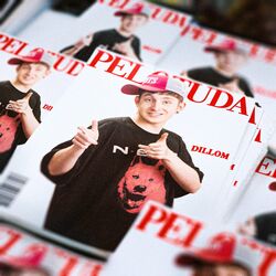 Cover of PELOTUDA