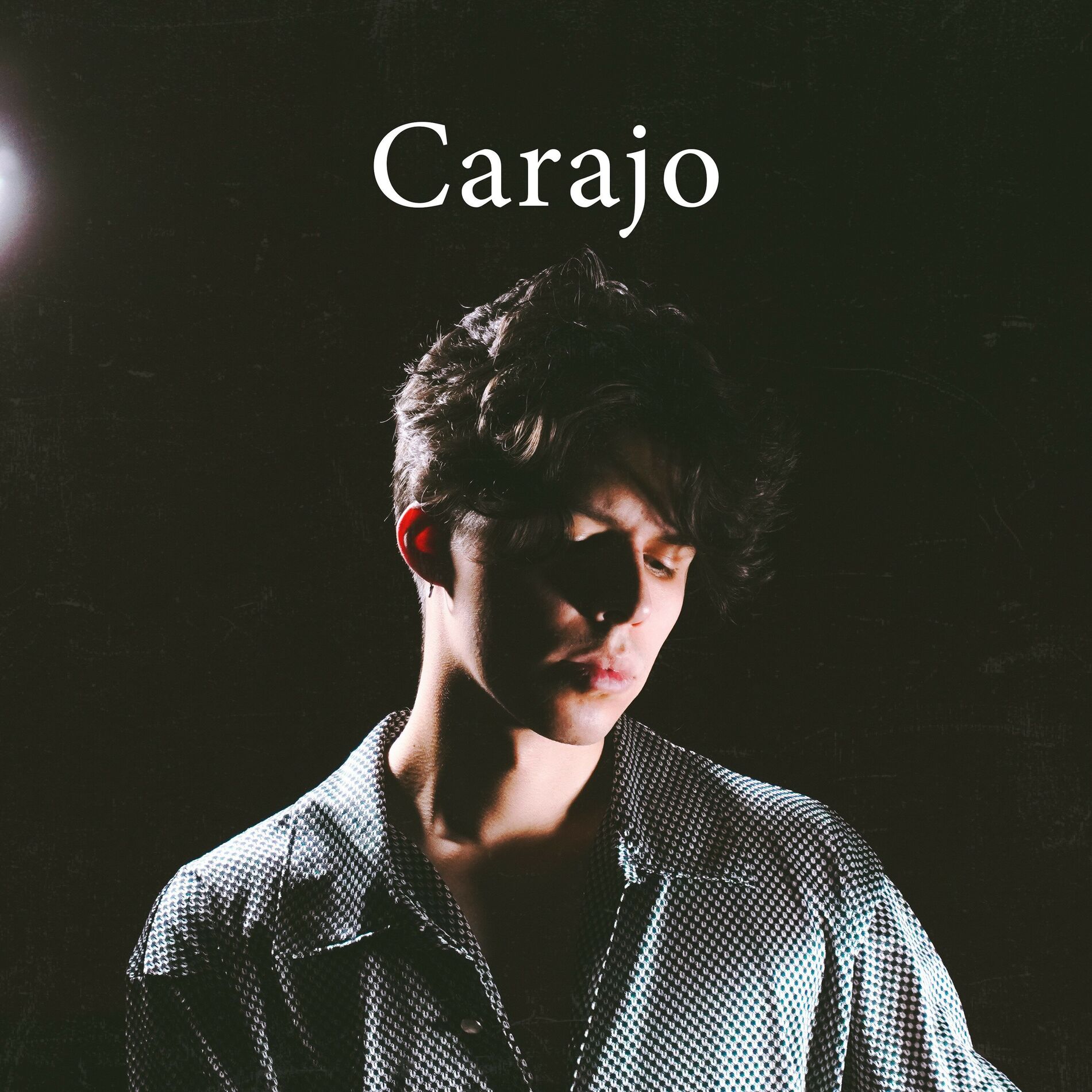 Album cover of Carajo