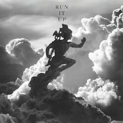 Cover of Run It Up