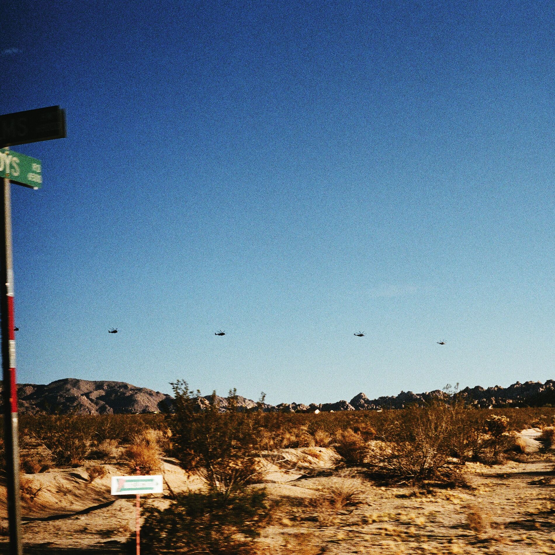 Album cover of GREY RUBBLE – GREEN SHOOTS