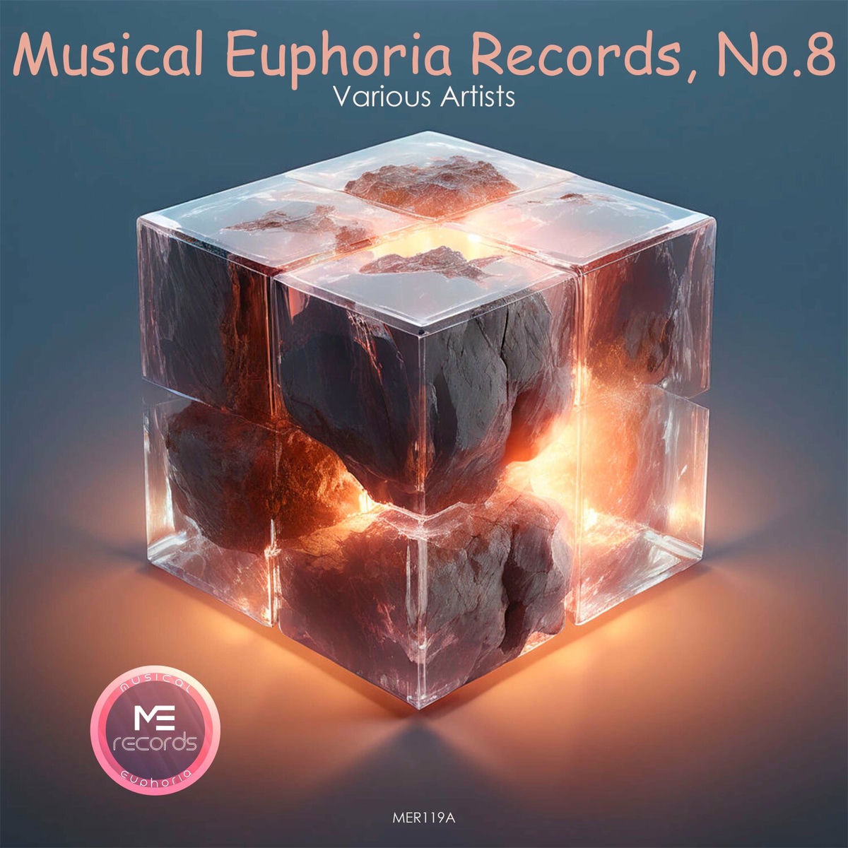 Album cover of Musical Euphoria Records, No.8