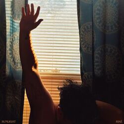 Cover of Sunlight