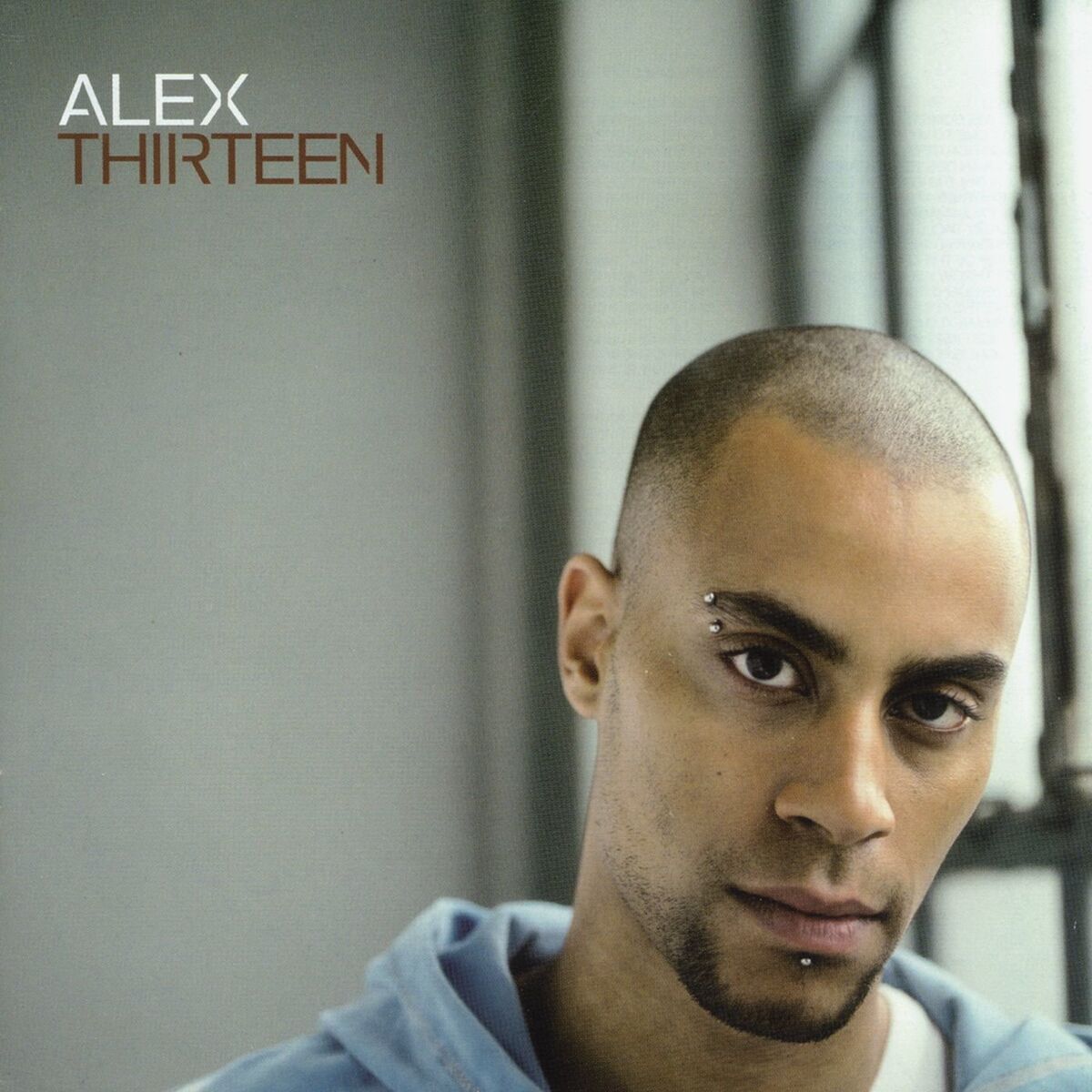 Album cover of Thirteen