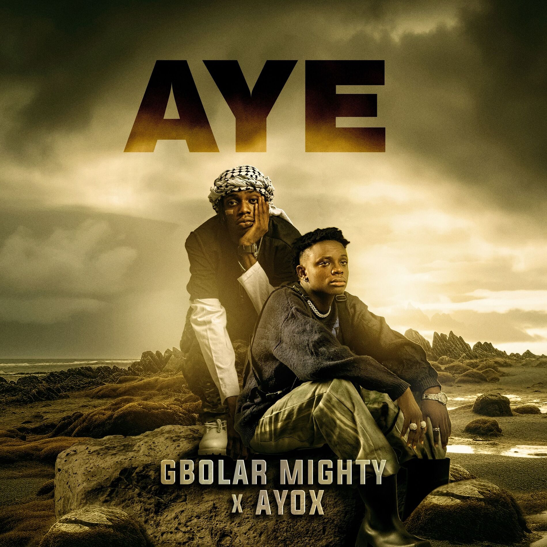 Album cover of Aye