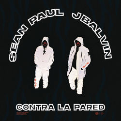 Cover of Contra La Pared