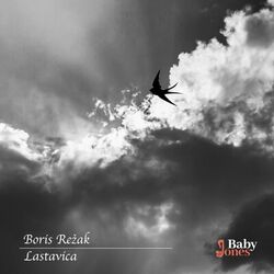 Cover of Lastavica