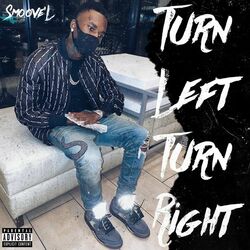 Cover of Turn Left Turn Right