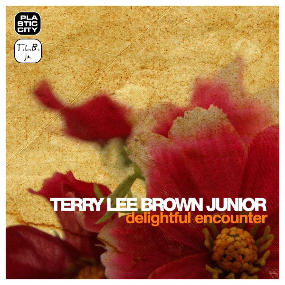 Picture of Terry Lee Brown Junior - Delightful Encounter (MP3 Single)