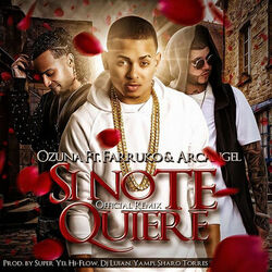 Cover of Si No Te Quiere Remix