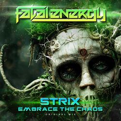 Cover of Embrace The Chaos