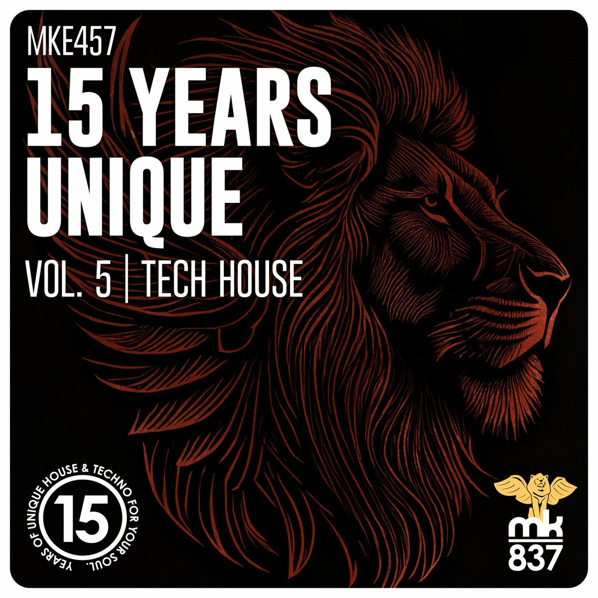 Album cover of 15 Years Unique, Vol. 5 | Tech House