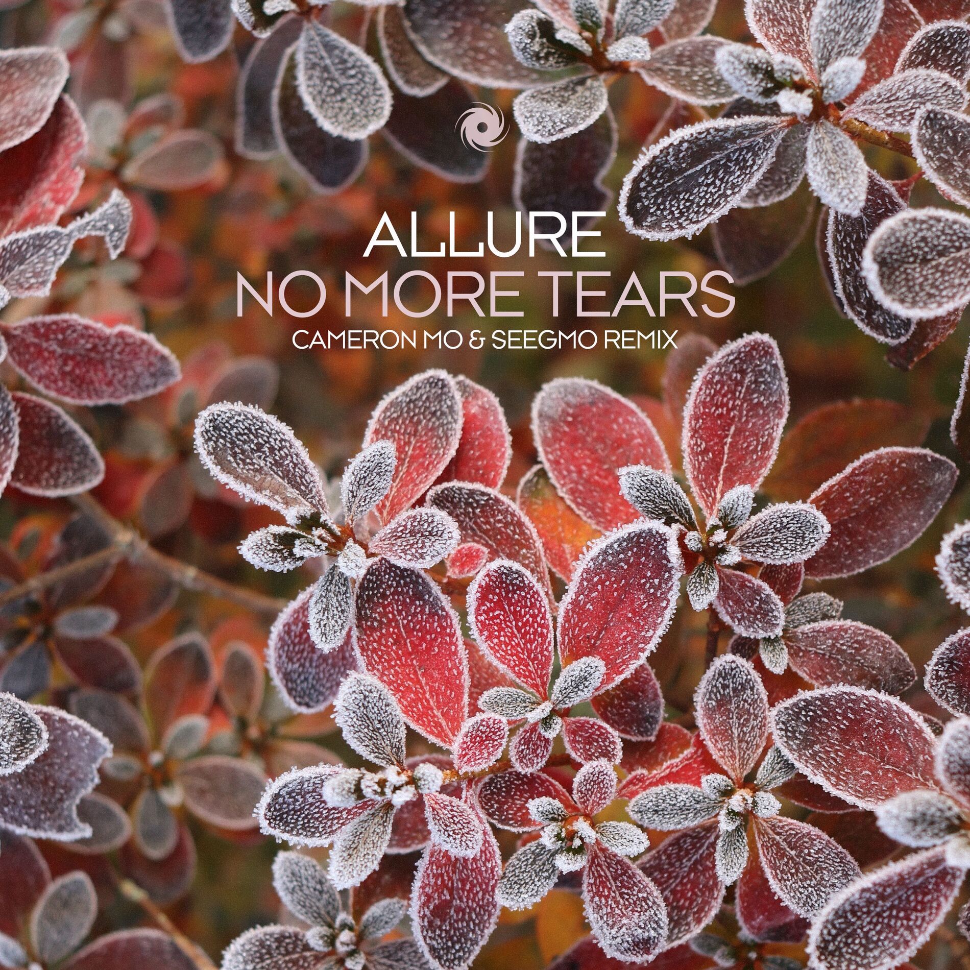 Album cover of No More Tears (Cameron Mo & Seegmo Remix)