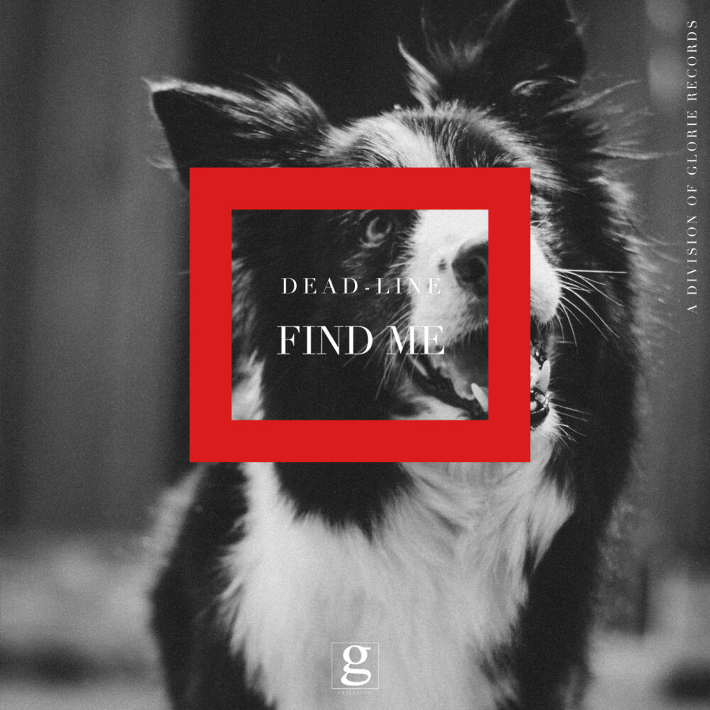 Picture of Find Me