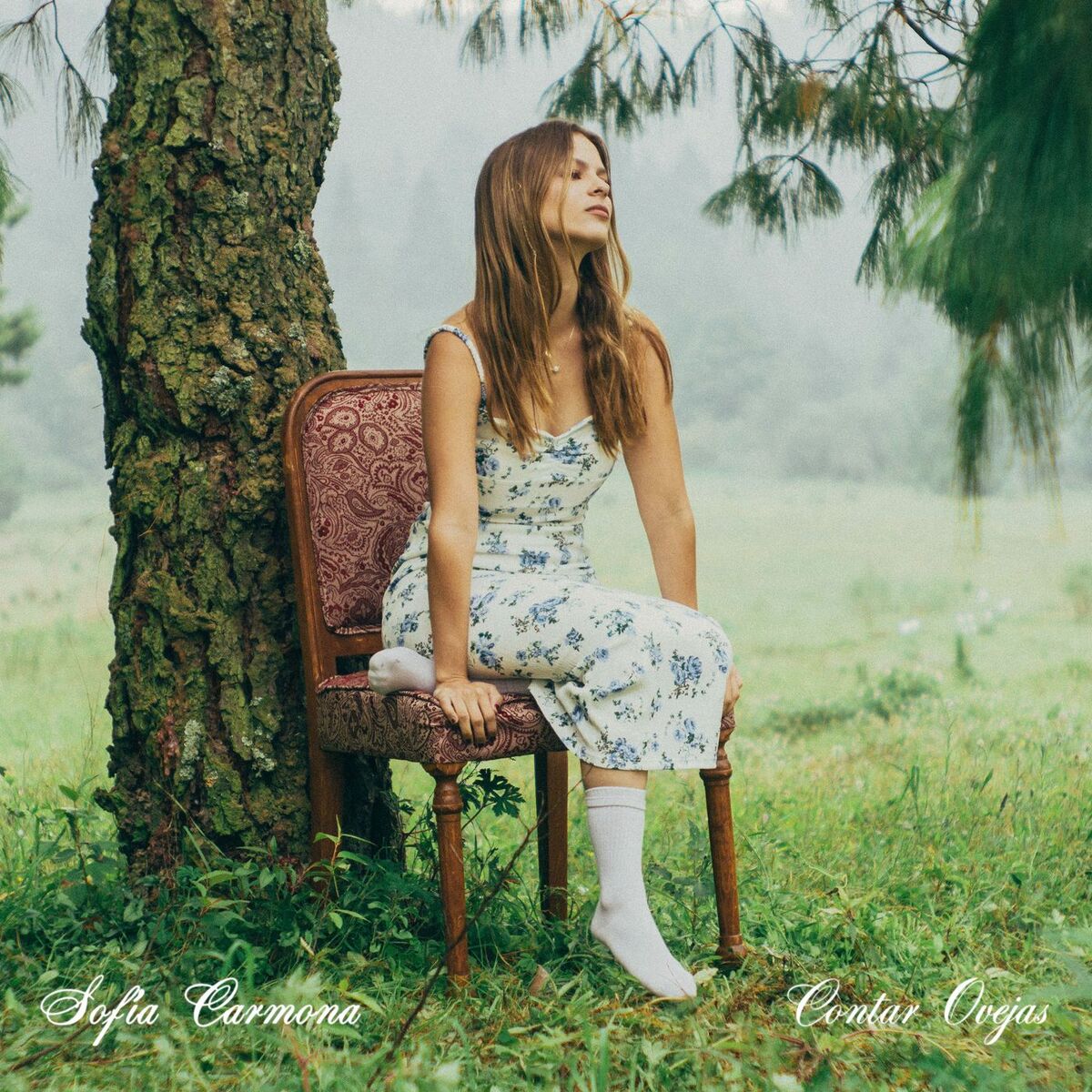 Album cover of Contar ovejas