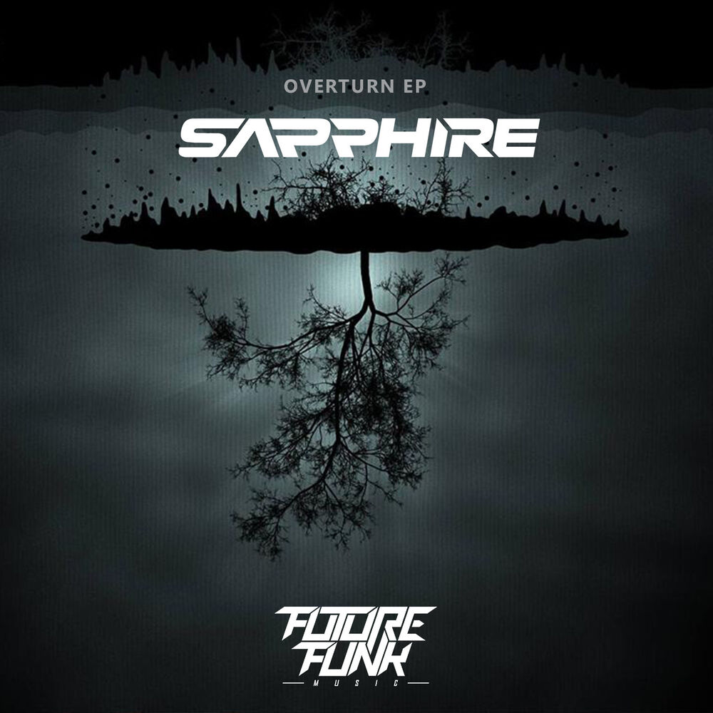 Picture of Overturn EP