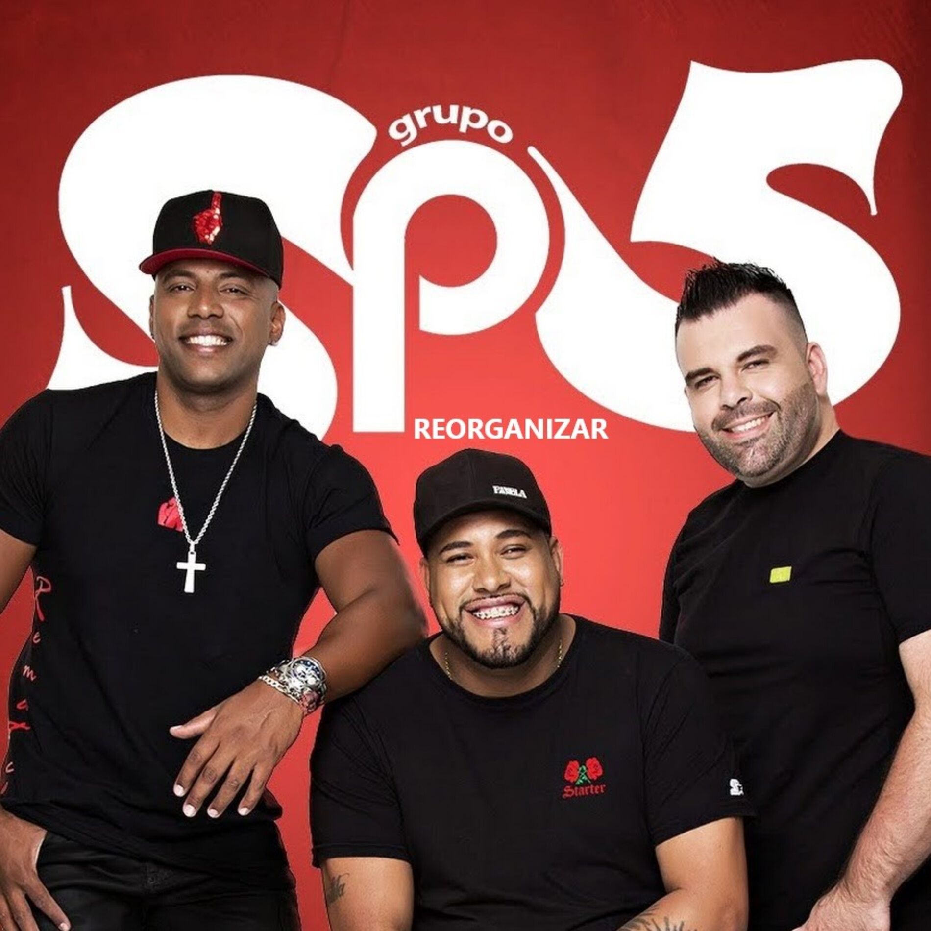 Album cover of REORGANIZAR
