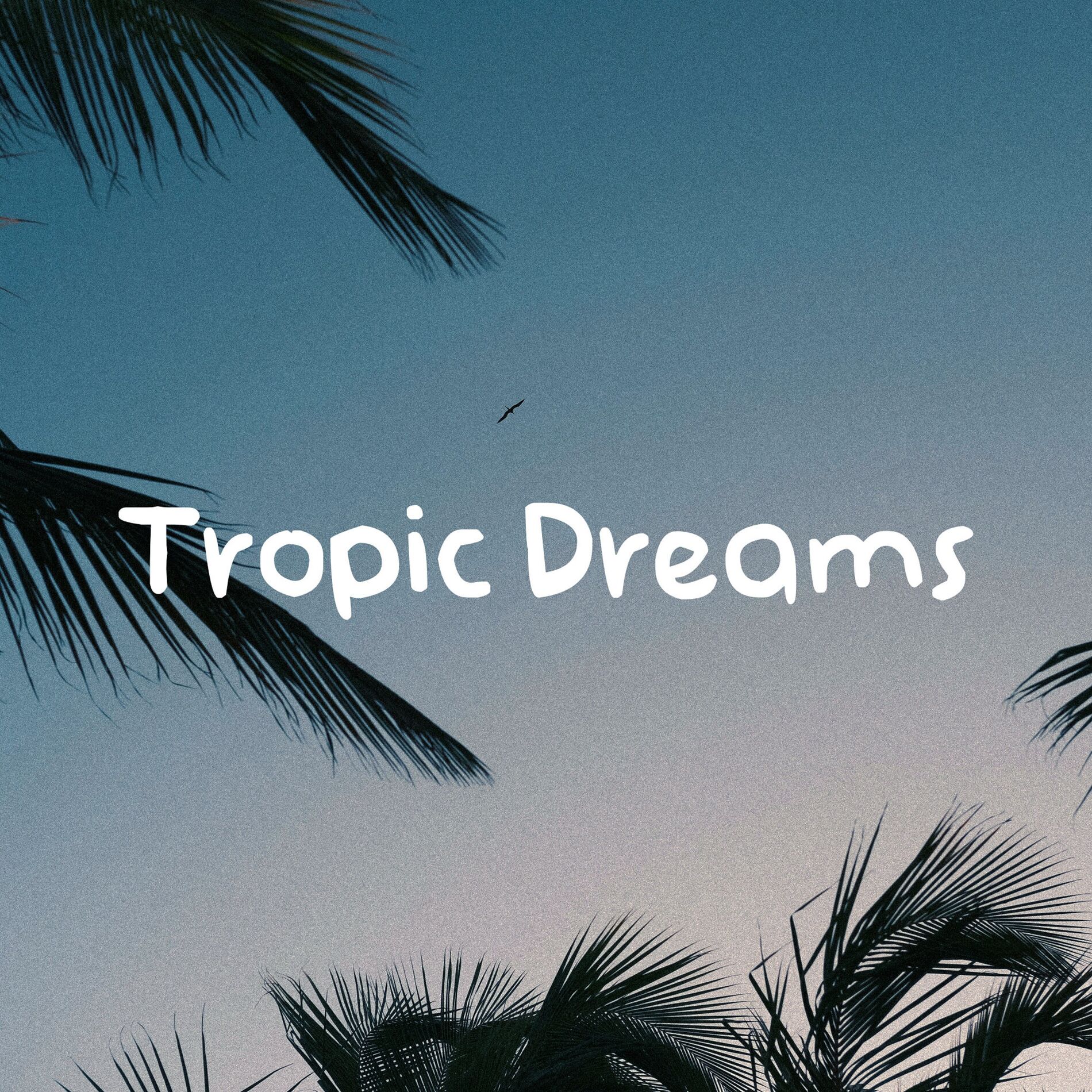 Album cover of Tropic Dreams