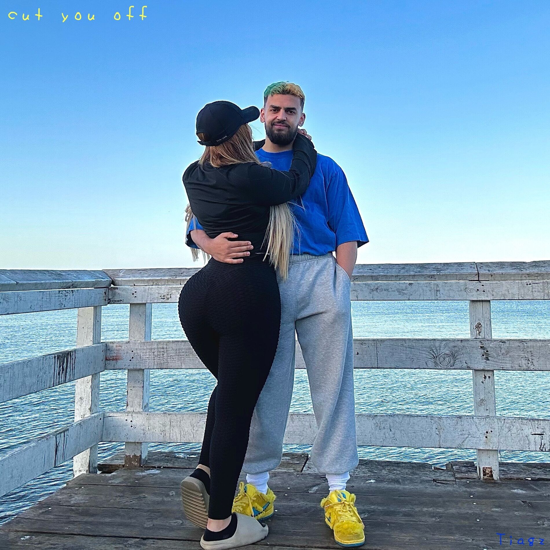 Album cover of Cut You Off