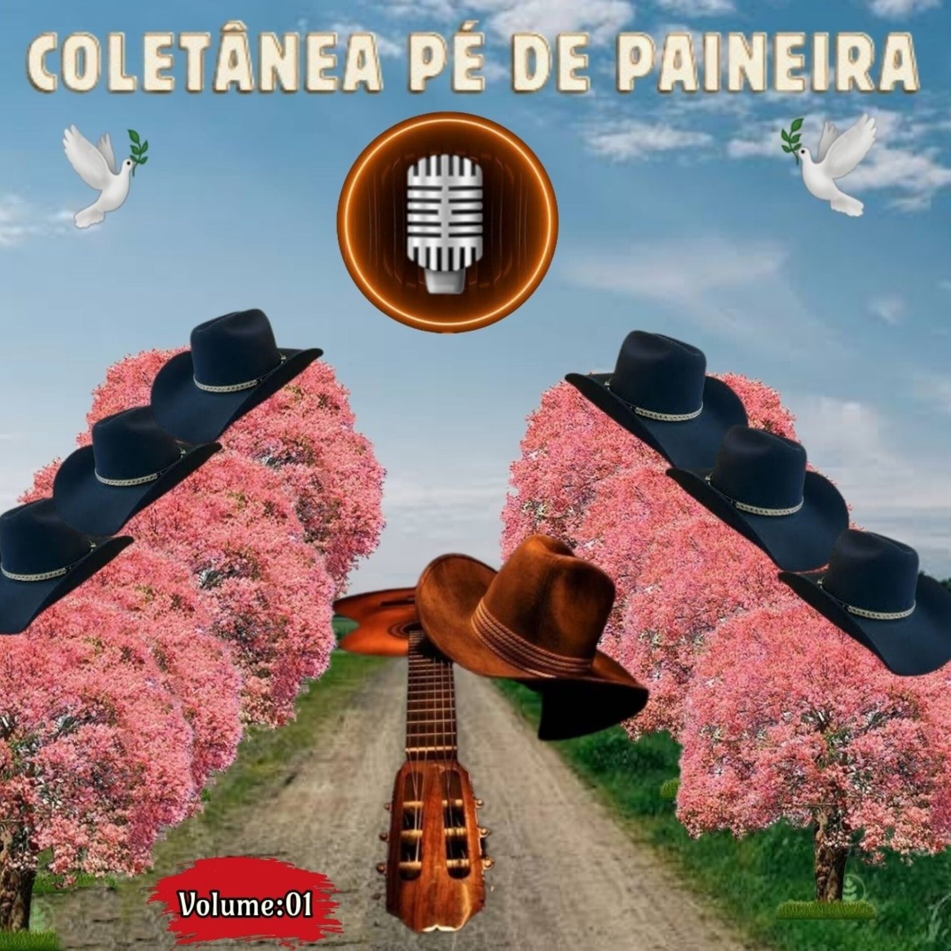 Album cover of Coletânea Pé de Paineira Vol. 01