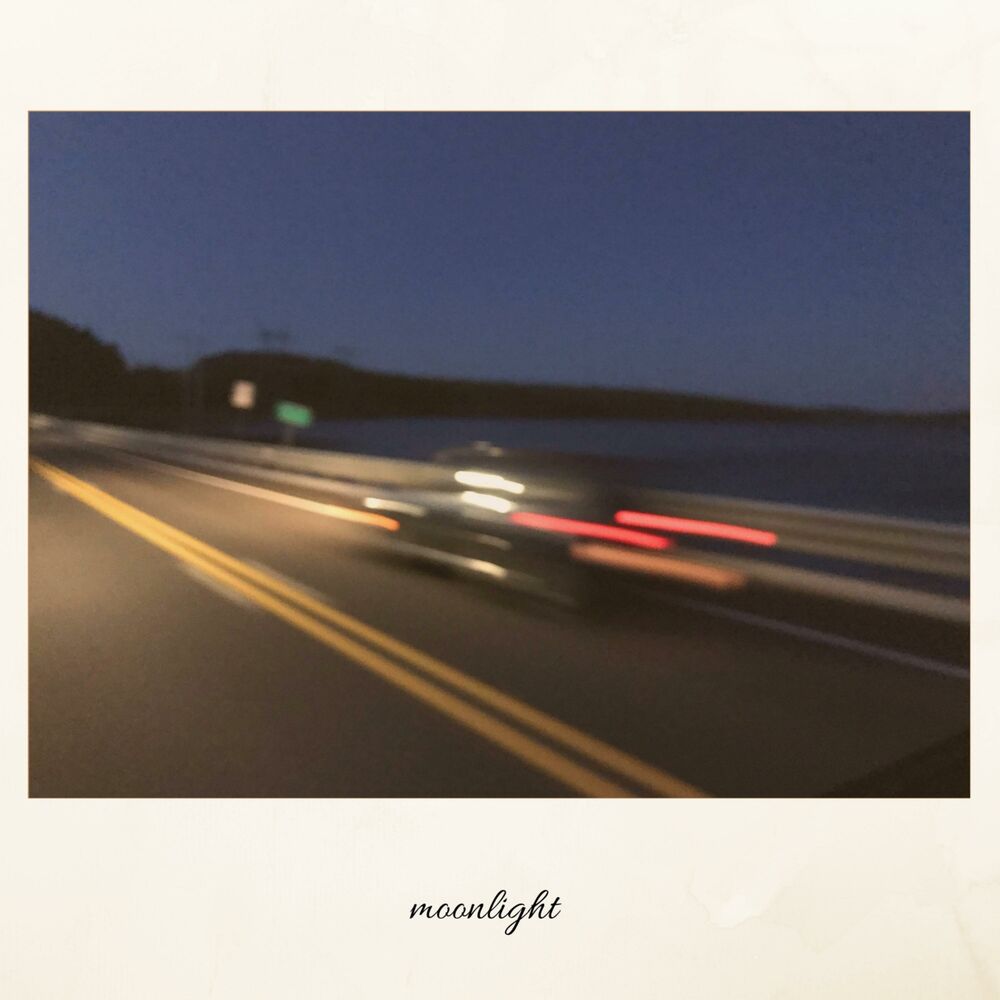 Picture of Moonlight