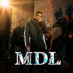 Cover of Mdl
