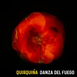 Cover of Danza del Fuego