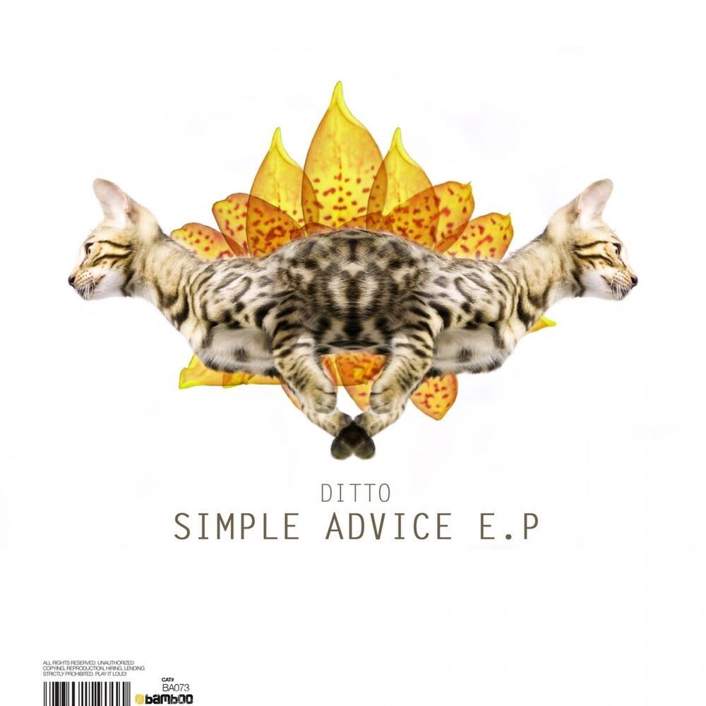 Picture of Simple Advice E.P