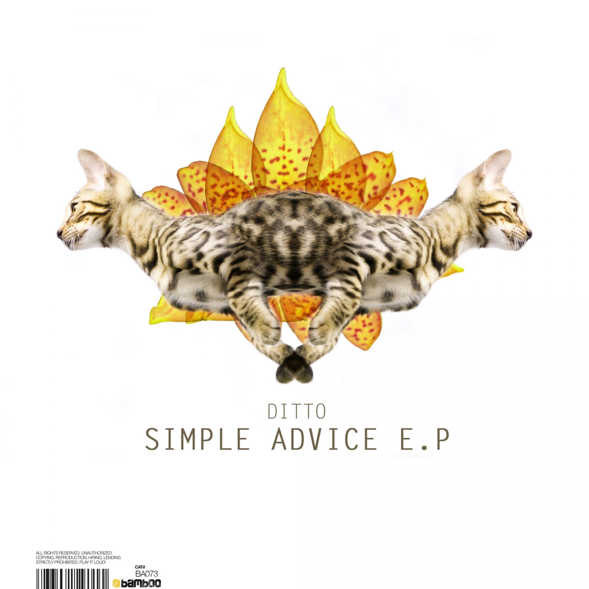Album cover of Simple Advice E.P