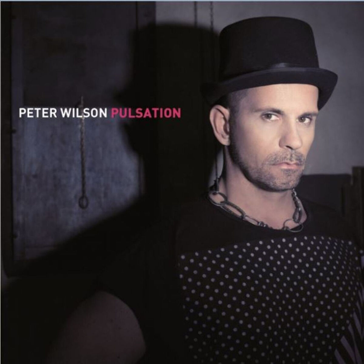 Album cover of Pulsation