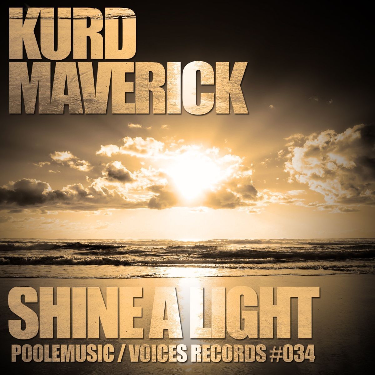 Album cover of Shine a Light
