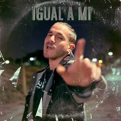 Cover of Igual a Mi