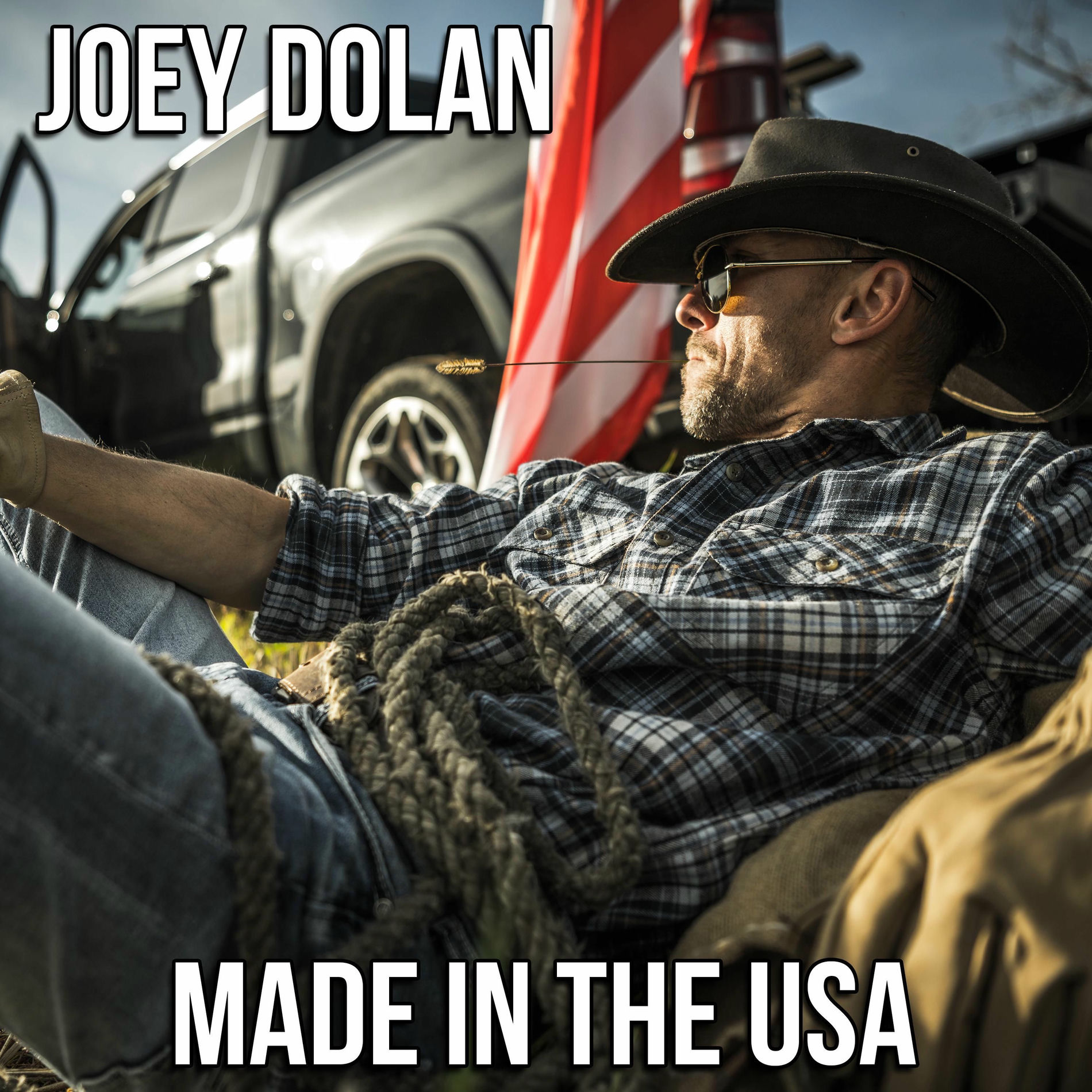 Album cover of Made In The USA