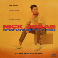 Cover of Remember I Told You (Frank Walker Remix)