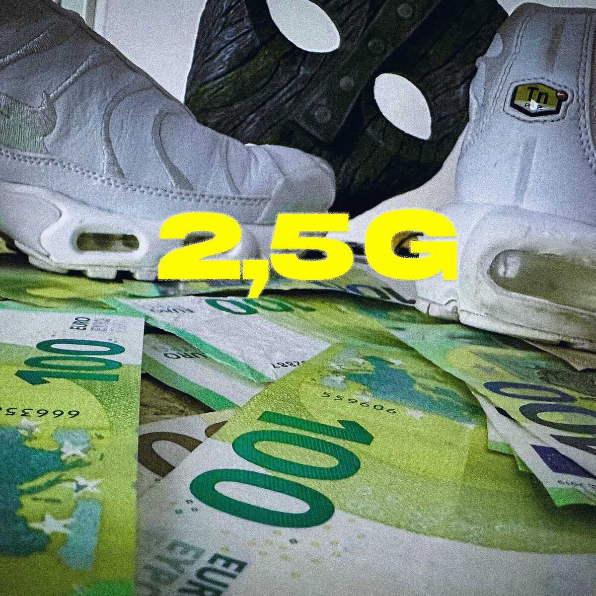 Album cover of 2,5 G
