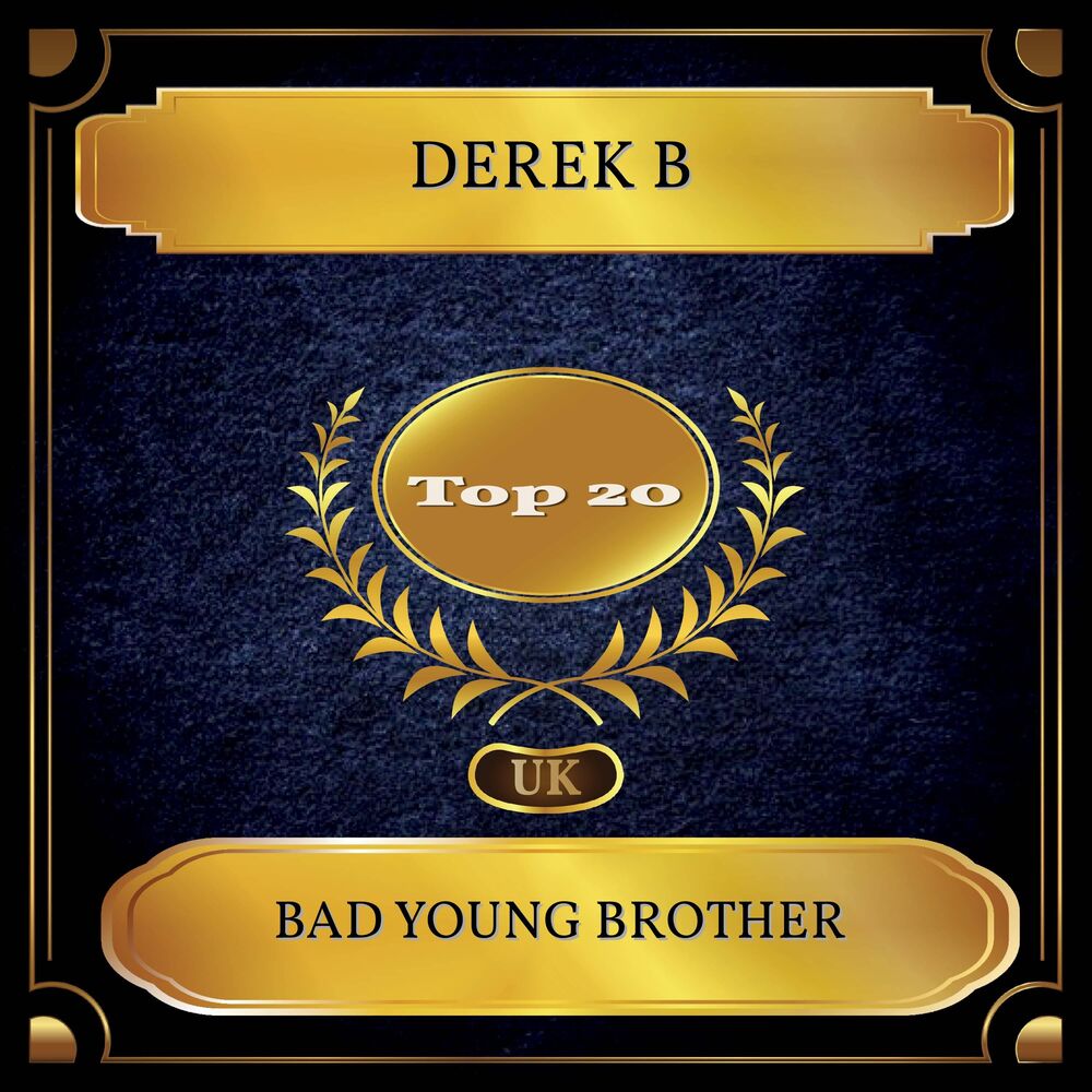 Picture of Bad Young Brother (UK Chart Top 20 - No. 16)