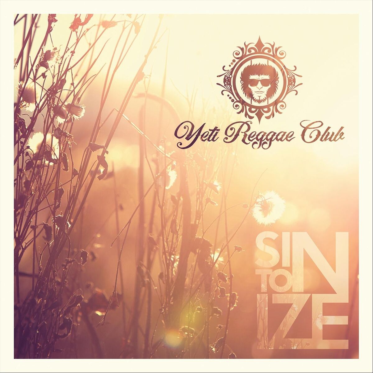 Album cover of Raça Regueira