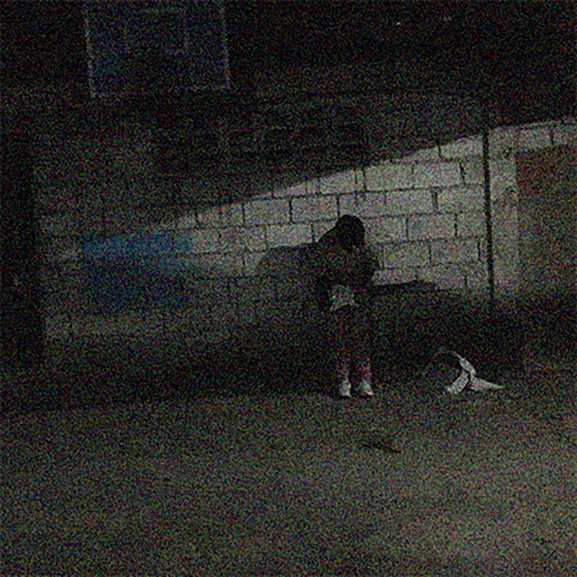 Album cover of introvert