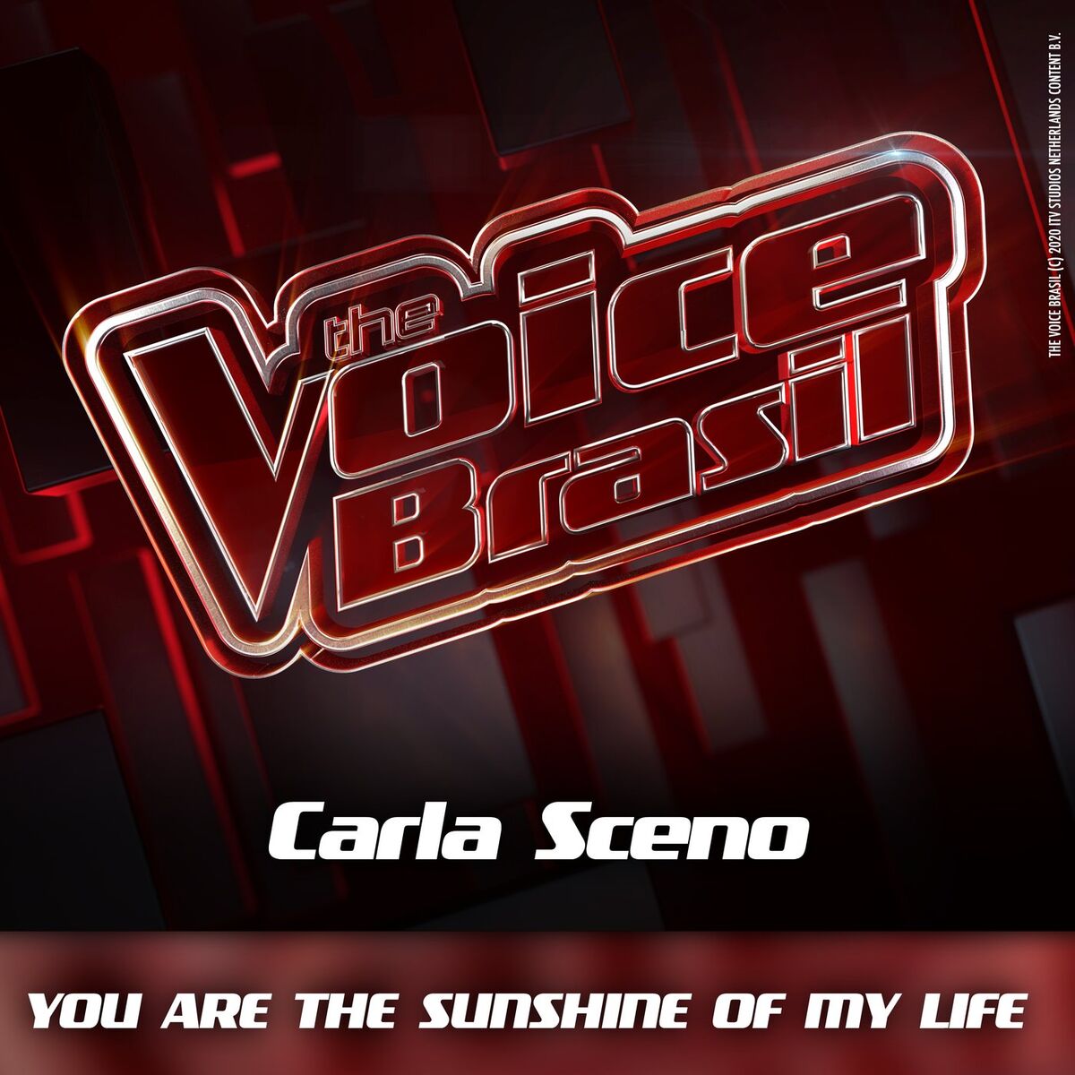 Album cover of You Are The Sunshine Of My Life
