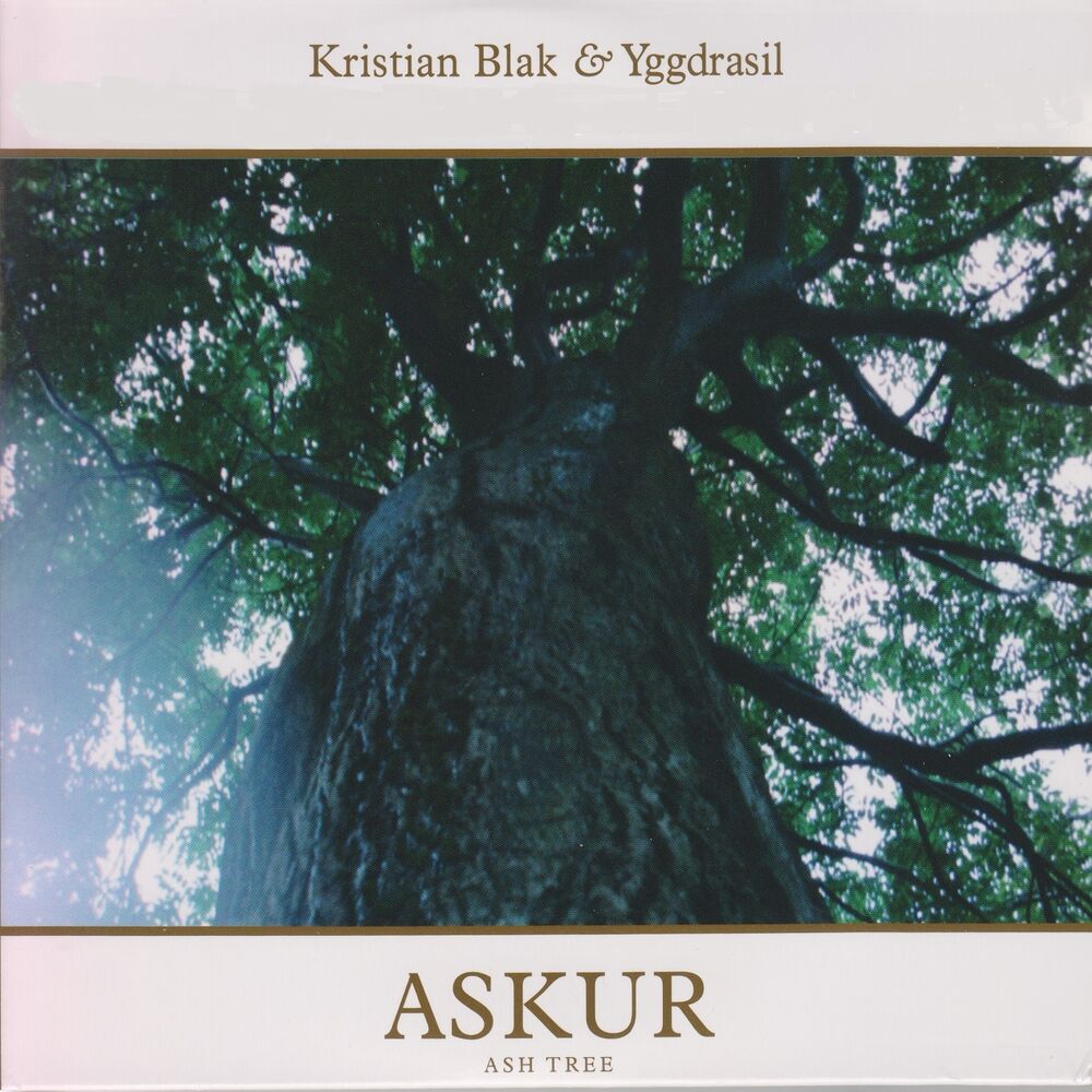 Picture of Askur (Live Version)