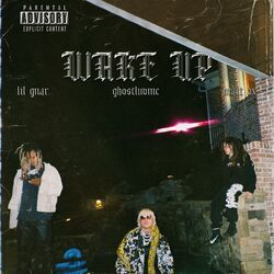 Cover of Wake Up