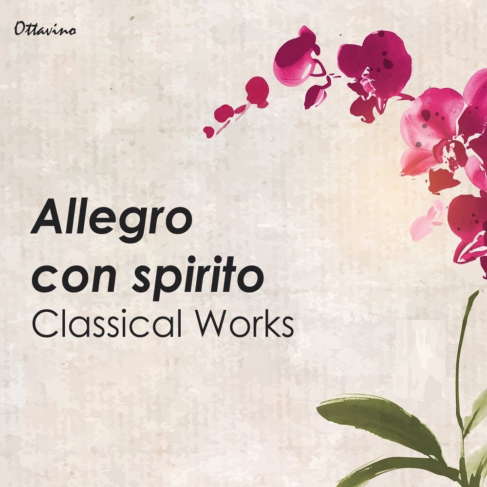 Picture of Allegro con spirito: Classical Works