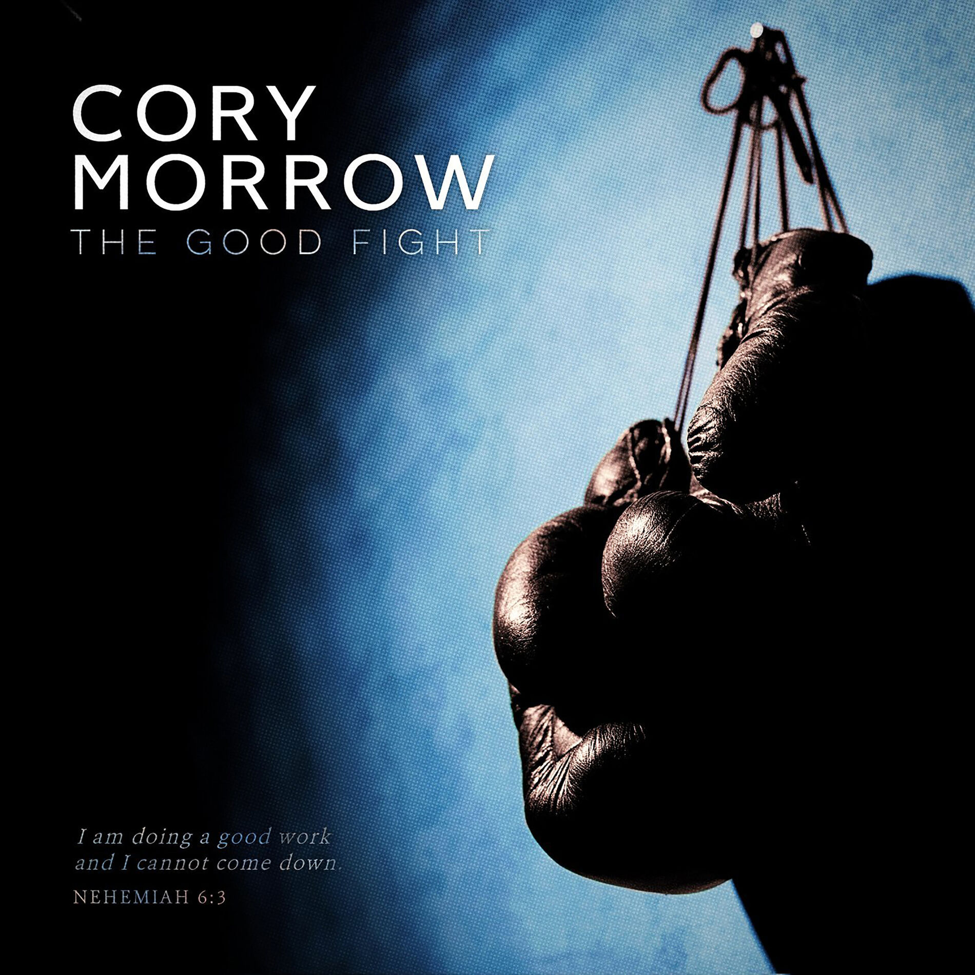 Album cover of The Good Fight