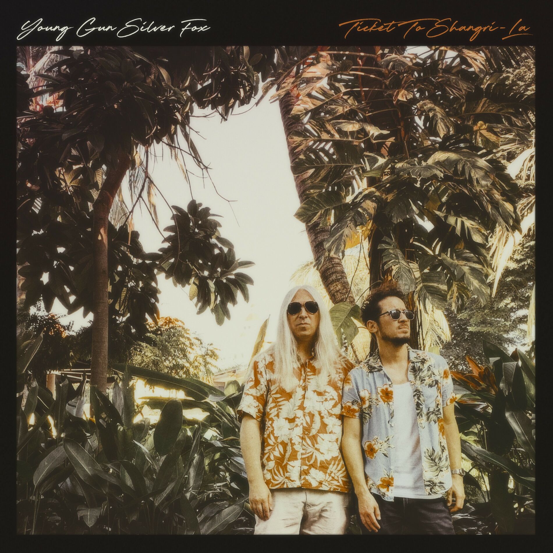 Album cover of Rolling Back