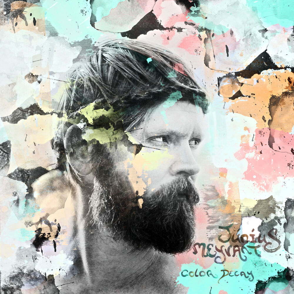 Picture of Color Decay