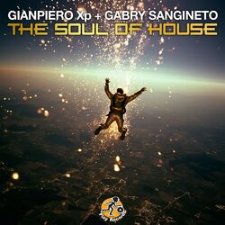 Cover of The Soul of House