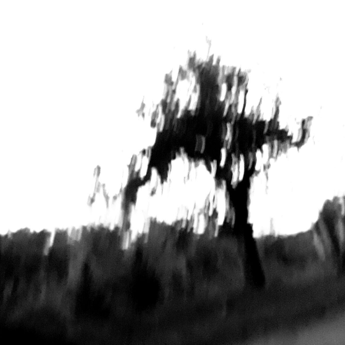 Album cover of 126