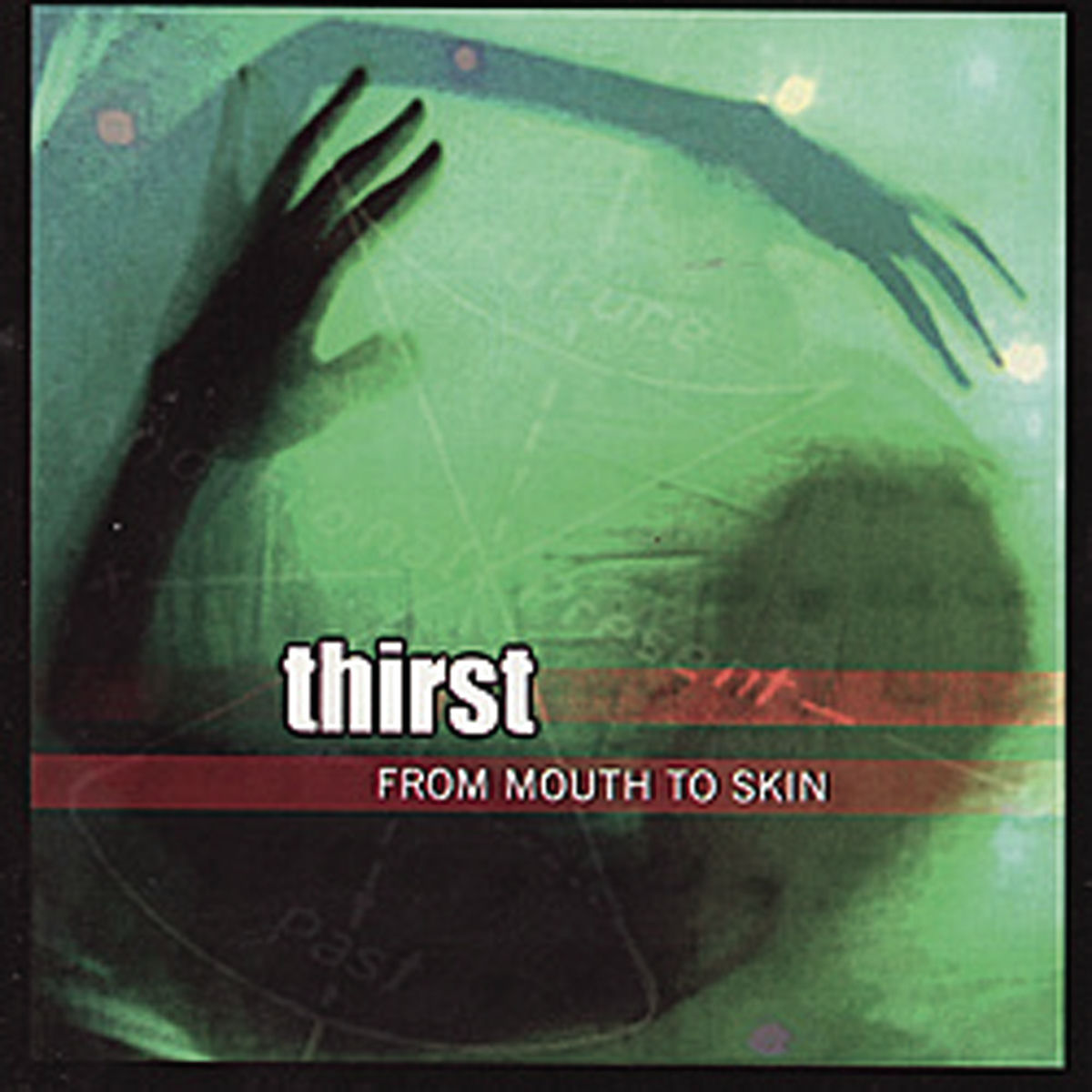 Album cover of From Mouth to Skin