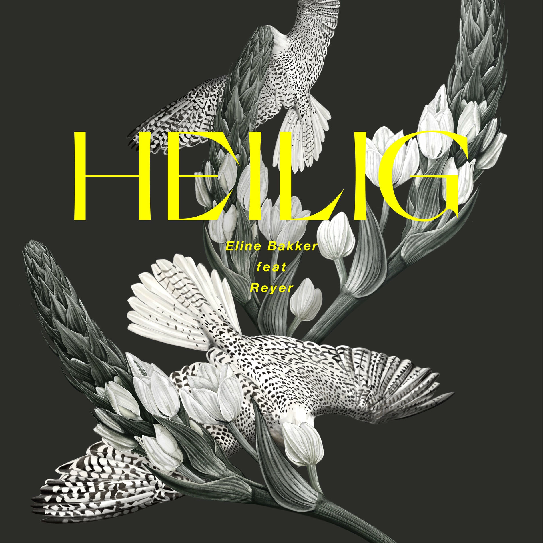 Album cover of Heilig