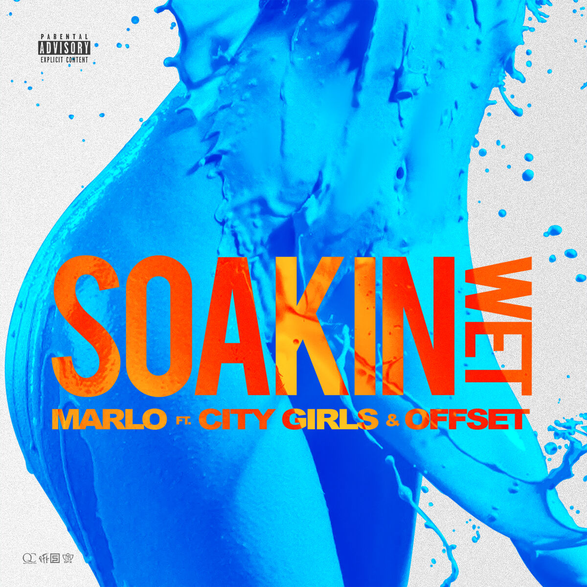 Album cover of Soakin Wet